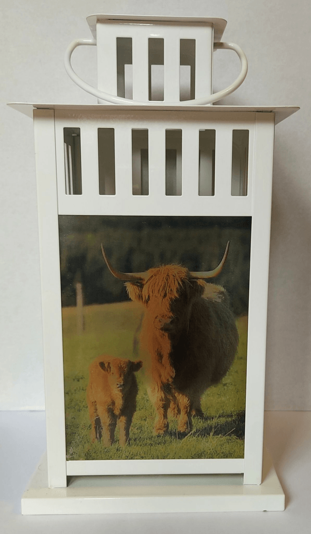 Highland Cow Lantern