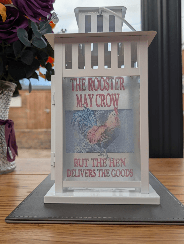 Chicken Humour Lantern 
