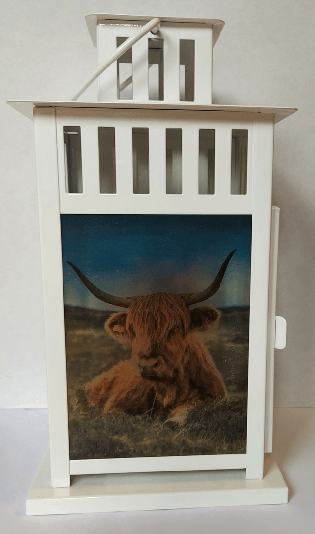 Highland Cow Lantern
