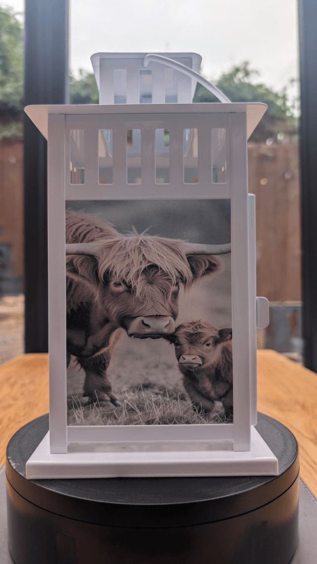 Highland Cow Lantern (2)