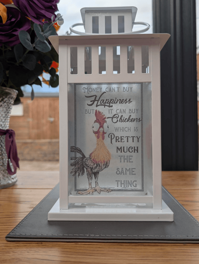 Chicken Humour Lantern 