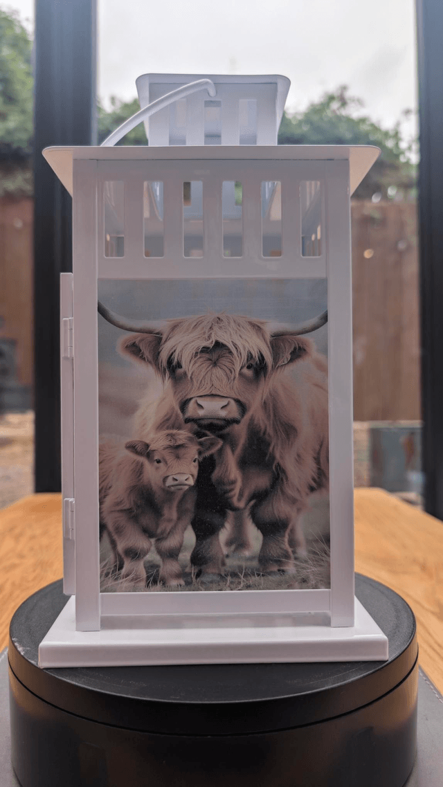 Highland Cow Lantern (2)