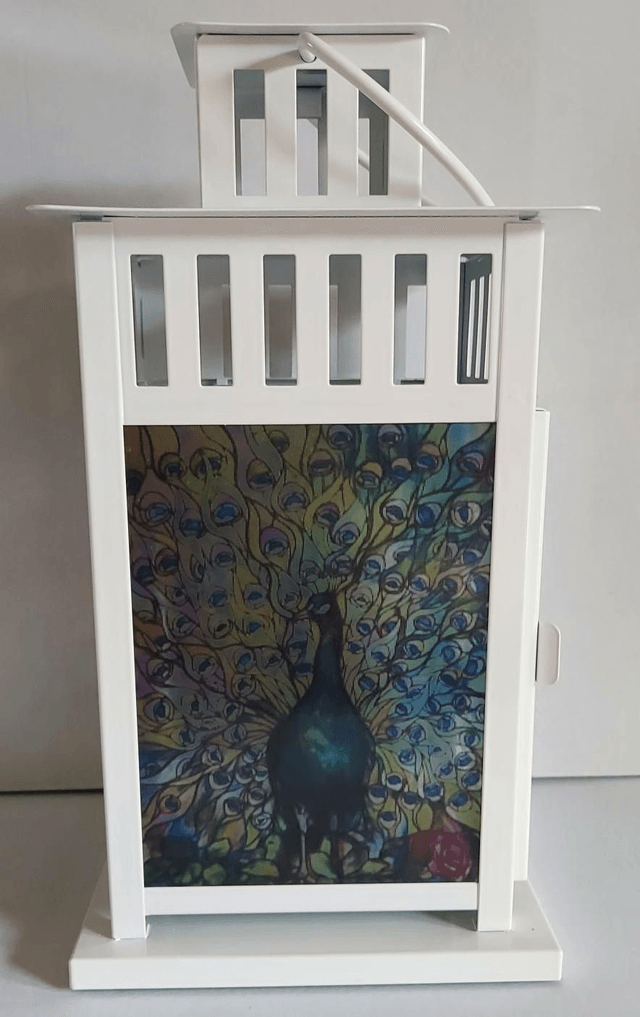 Peacock Lantern