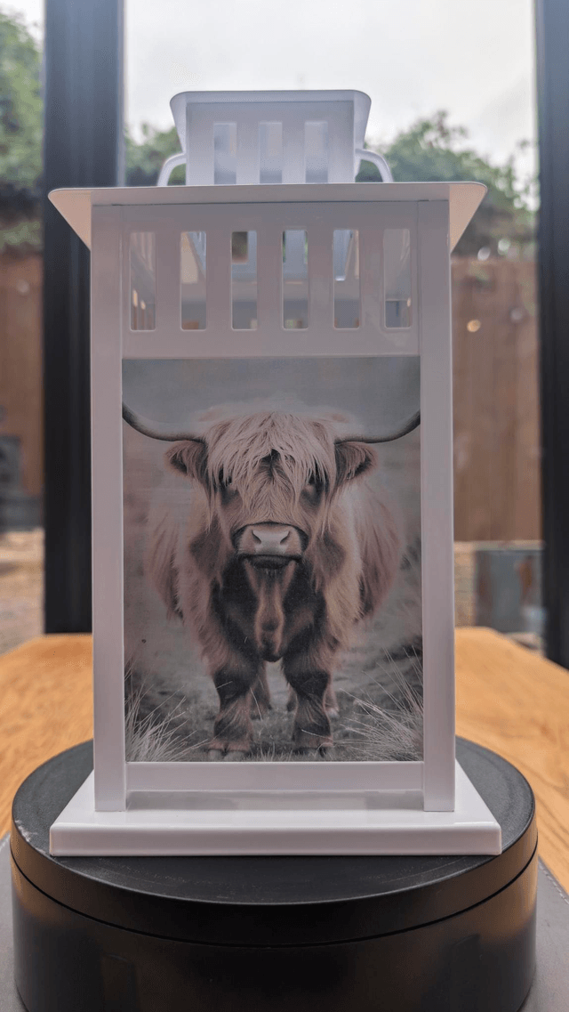 Highland Cow Lantern (2)