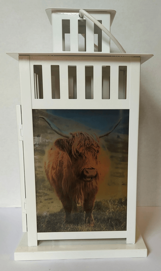 Highland Cow Lantern